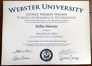 Webster University degree