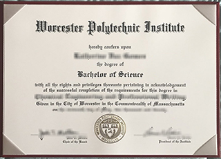 Worcester Polytechnic Institute degree