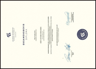 Aalborg University diploma