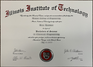 Illinois Institute of Technology degree