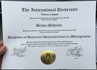 International University Vienna degree