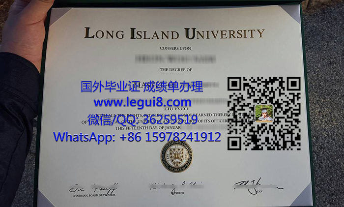 Long Island University degree