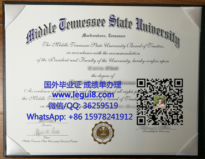 Middle Tennessee State University degree