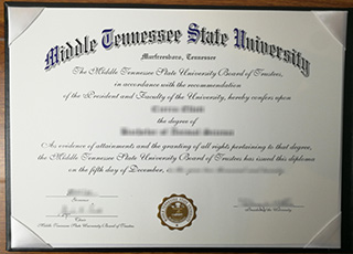 Middle Tennessee State University degree