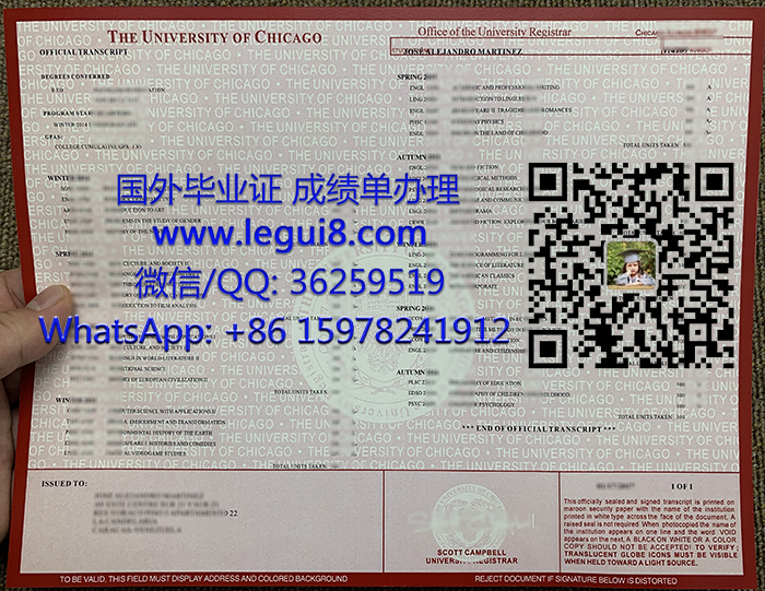 University of Chicago transcript