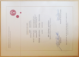 University of Copenhagen diploma