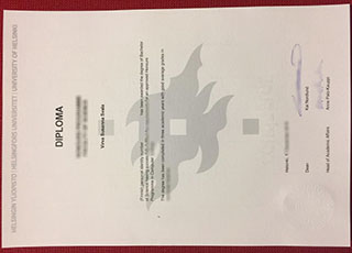 University of Helsinki diploma