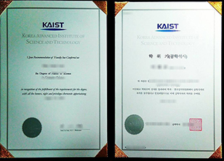 Korea Advanced Institute of Science and Technology degree