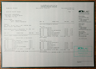 Lebanese American University transcript