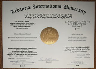 Lebanese International University degree