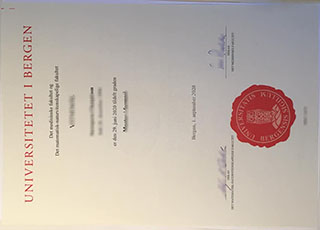 University of Bergen degree