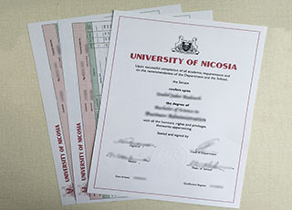 University of Nicosia transcript