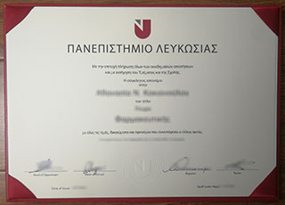 University of Nicosia degree