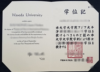 Waseda University degree