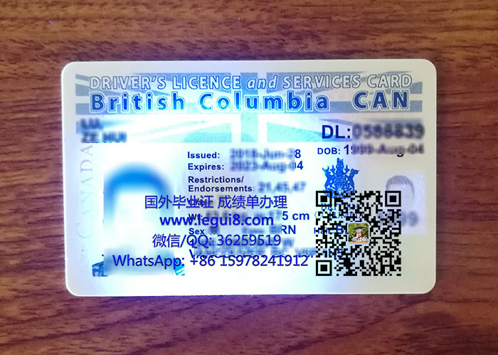 British Columbia Driver Licence