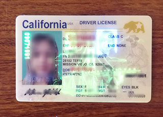 California Driver License