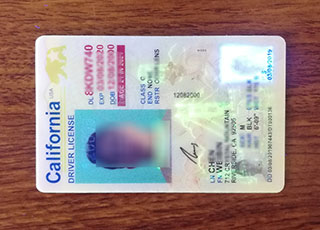 California Driving License