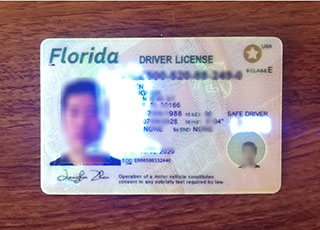 Florida Driver License