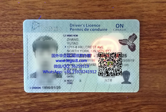 Ontario-Driving-license