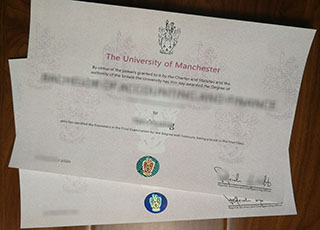 University of Manchester degree