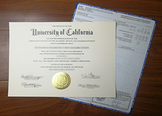 UCLA degree and transcript