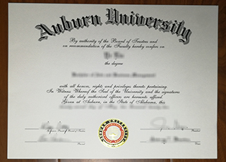 Auburn University degree