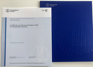 University of Zurich degree