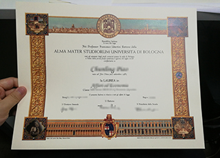 Università di Bologna diploma