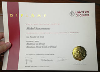 University of Geneva degree