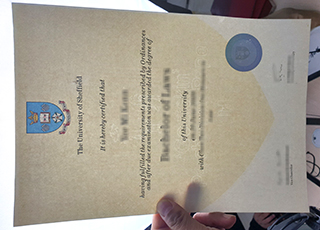 University of Sheffield diploma