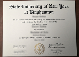 Binghamton University degree