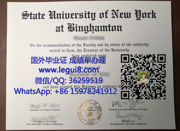 Binghamton University degree