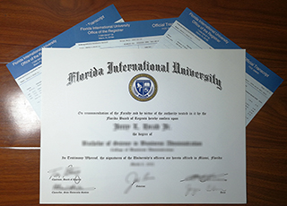 Florida International University diploma and transcript