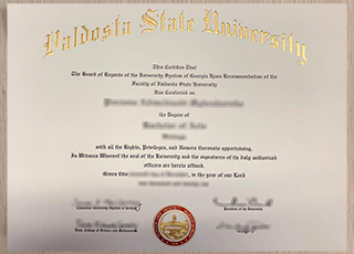 Valdosta State University degree