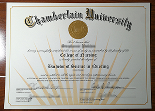 Chamberlain University degree