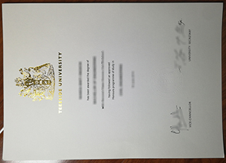 Teesside University diploma