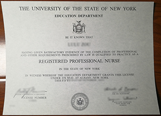 Registered Professional Nurse license