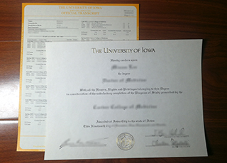 University of Iowa degree and transcript