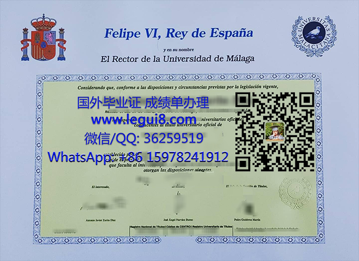 University of Malaga diploma