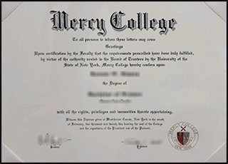 Mercy College degree