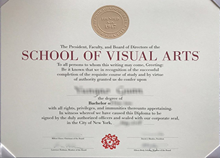 School of Visual Arts degree