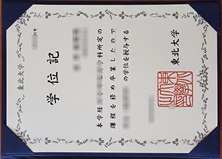 Tohoku University degree