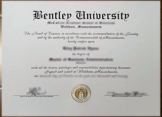 Bentley University degree