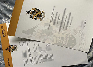 Falmouth University diploma and transcript