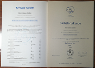 Hamburger Fern-Hochschule degree and transcript