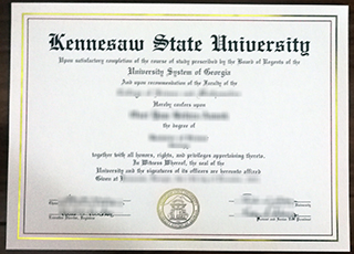 Kennesaw State University degree