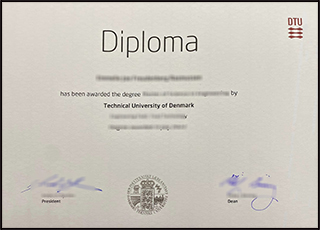 Danmarks Tekniske Universitet degree