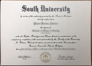 South University degree