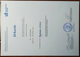 Universität Siegen degree