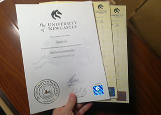 University of Newcastle degree and transcript